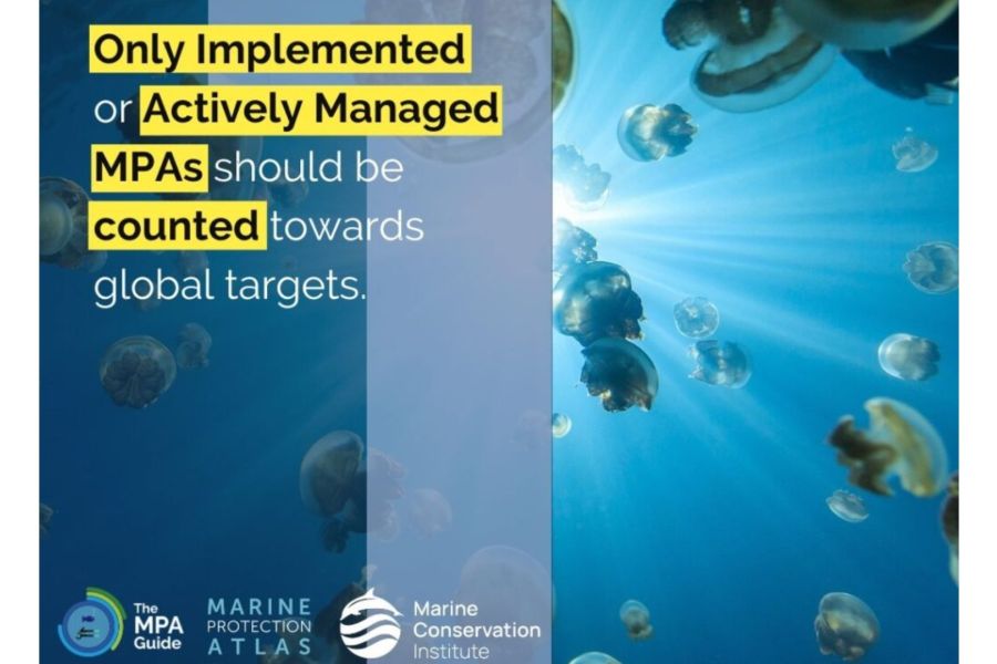 Le aree marine protette funzionano solo se vengono istituite per essere efficaci, giuste e durature