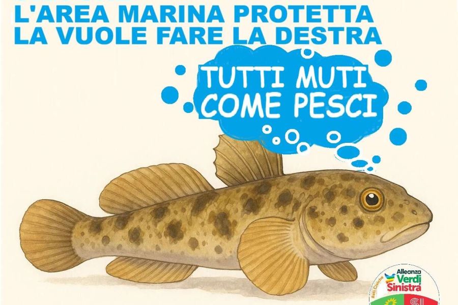 Arcipelago toscano, l’area marina protetta e il trasformismo della destra