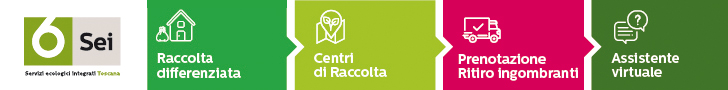 Sei Toscana, Servizi Ecologici Integrati