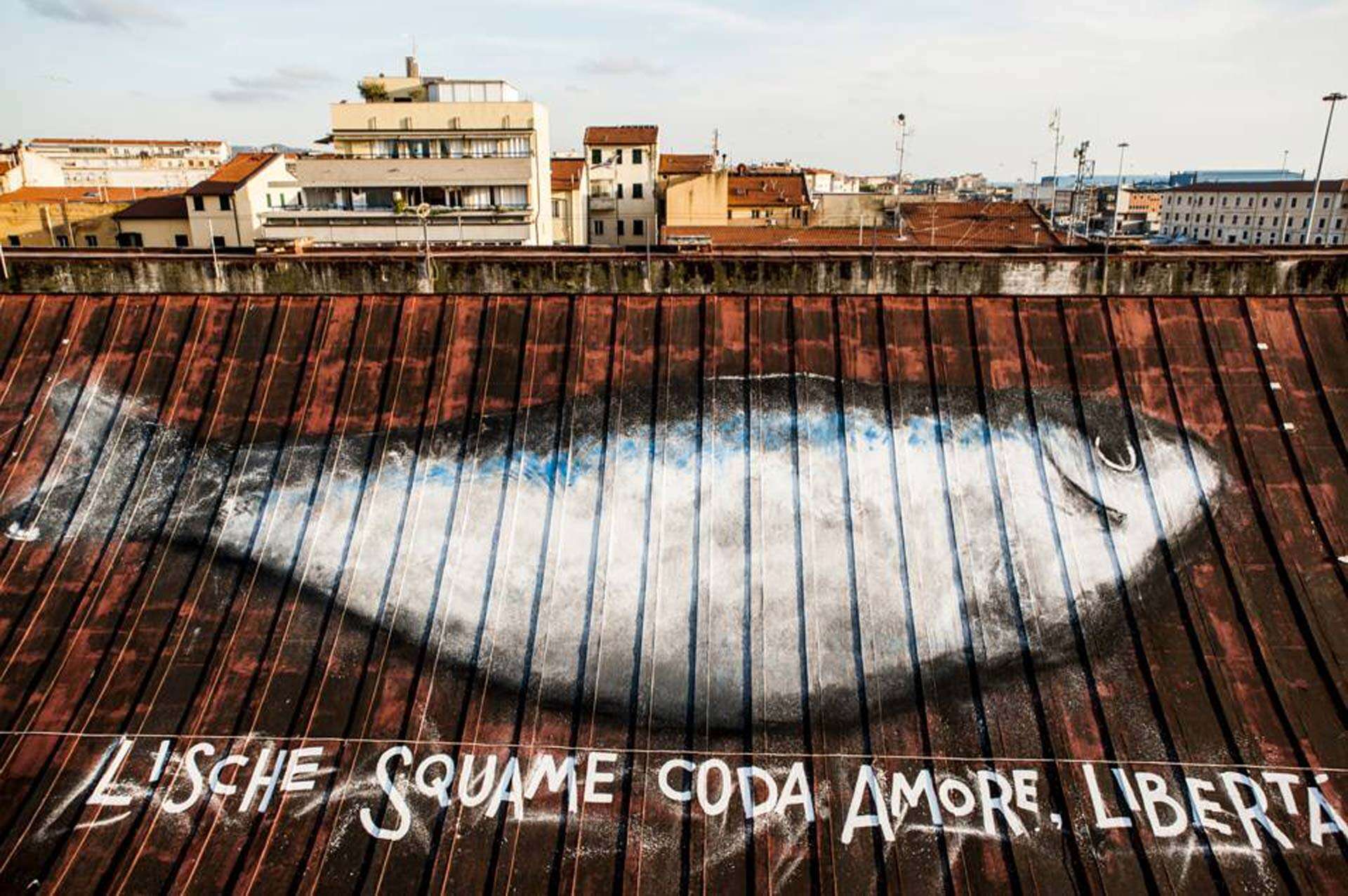 Non il solito pesce: ecco il vademecum per un menù consapevole, contro la sovrapesca