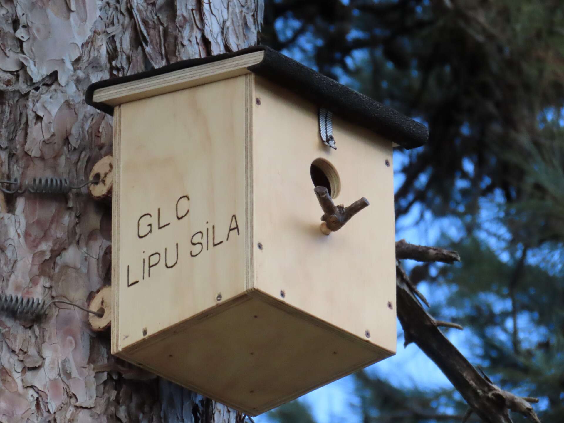 GLC LIPU SILA IIS L.DA VINCI Biodiversità Sila 5