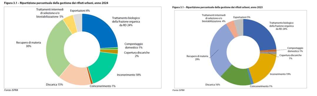 Grafico 8 Sbandati