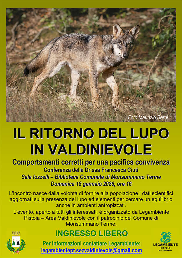 Il ritorno del lupo in Valdinievole locandina 2 web