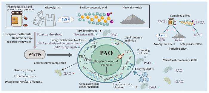 La crescente presenza di microplastiche e composti industriali minaccia l’efficienza del trattamento delle acque reflue