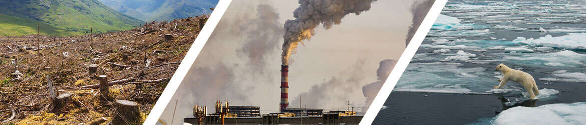 Il Consiglio d’Europa adotta una convenzione per combattere i crimini ambientali