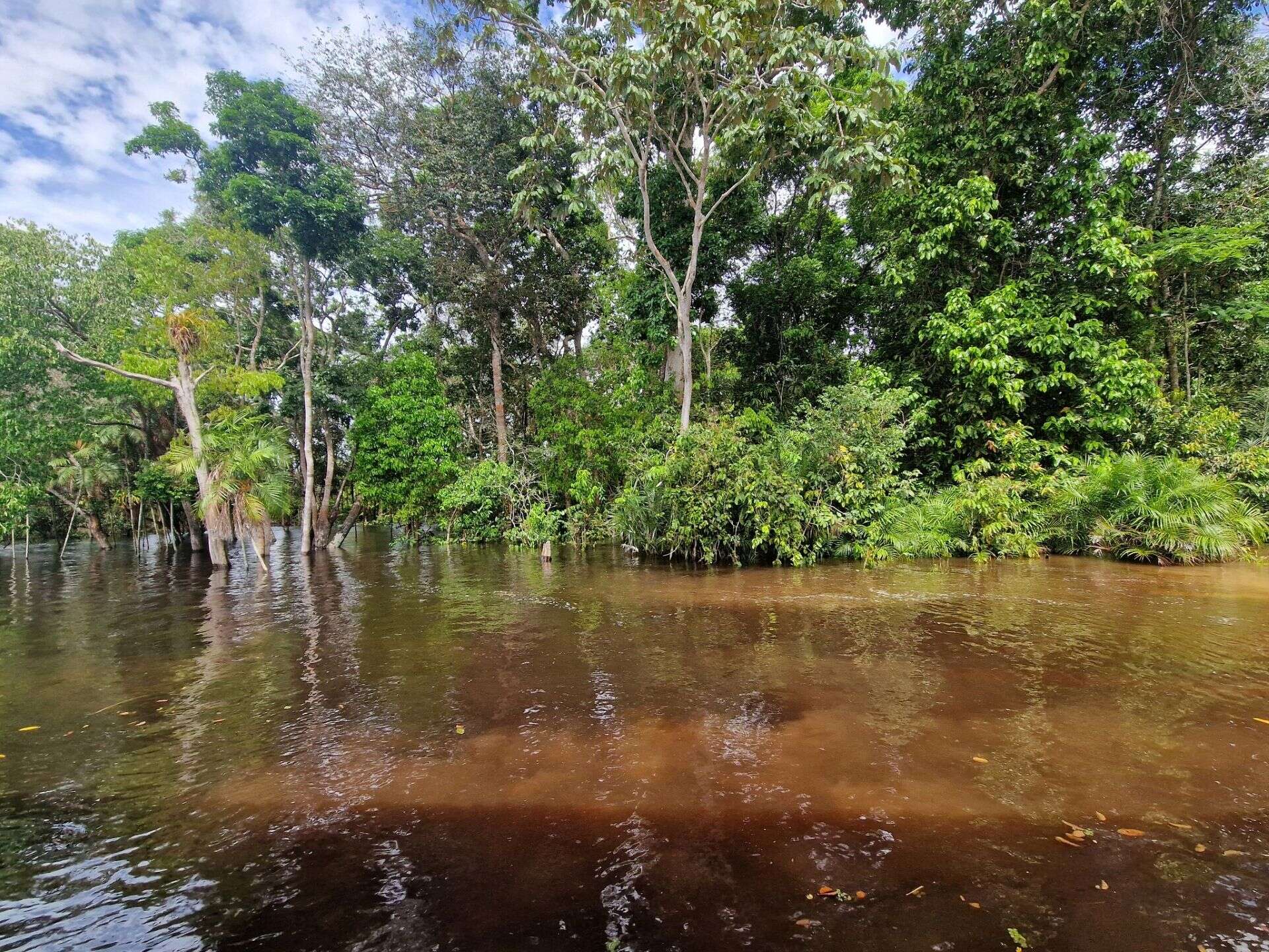 Mario Tozzi Amazzonia 2