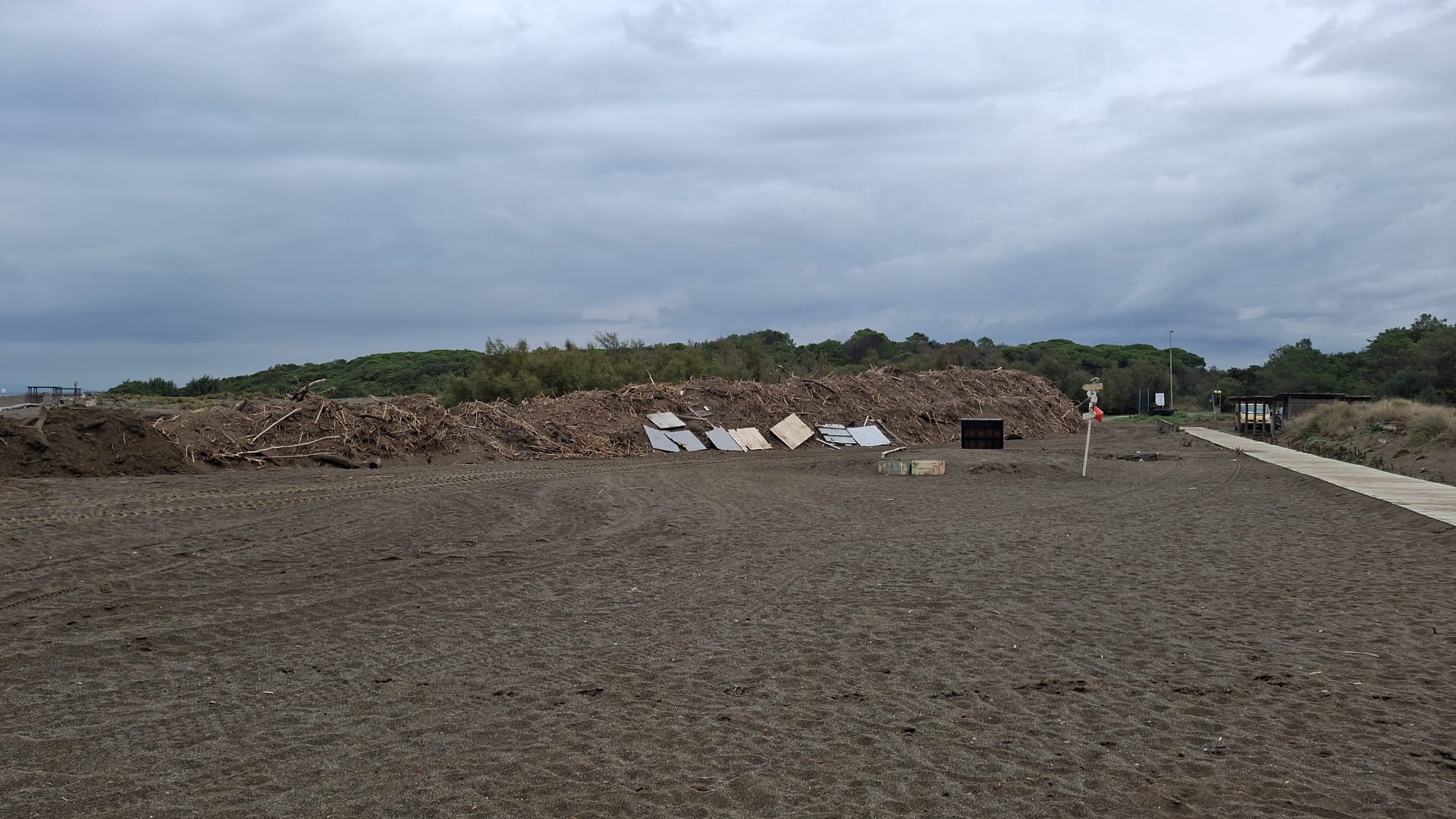 SeiToscana Castagneto Carducci pulizia straordinaria arenile 3