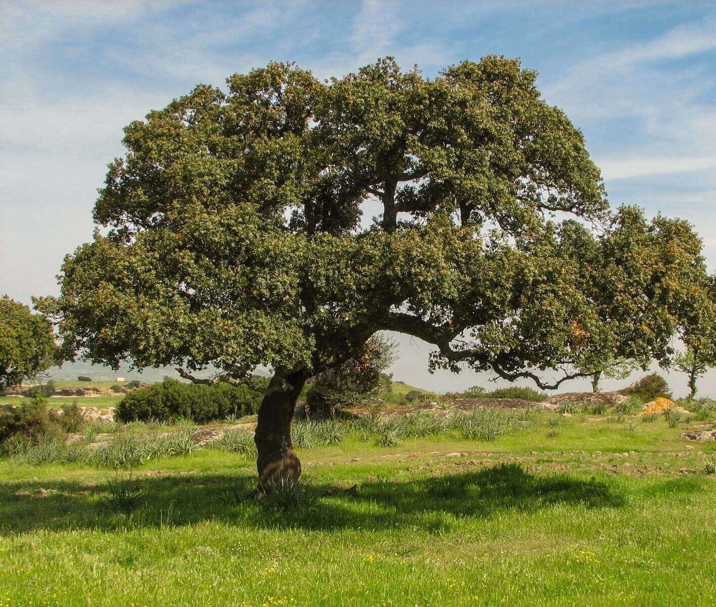Sardegna, il Wwf rilancia la sfida del 30% di territorio tutelato entro il 2030