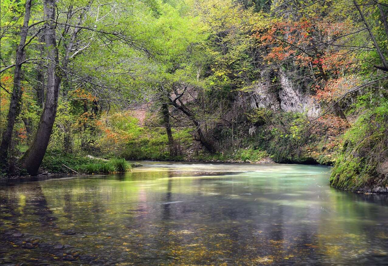 In azione per il fiume Nera: la Valnerina riscopre la sua trota mediterranea