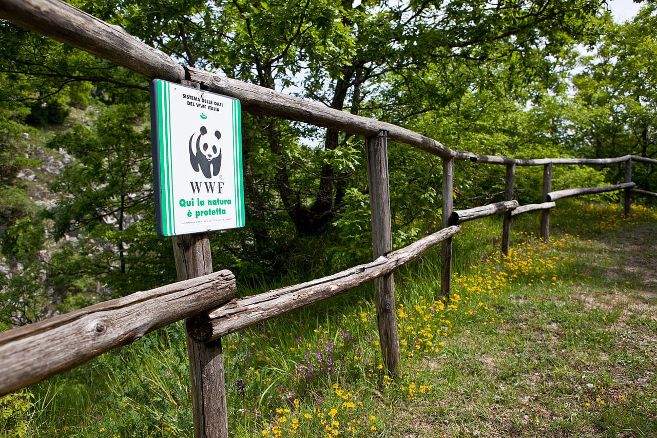 «Importante obiettivo atteso da anni»: soddisfazione Wwf per la nascita del Parco nazionale del Matese