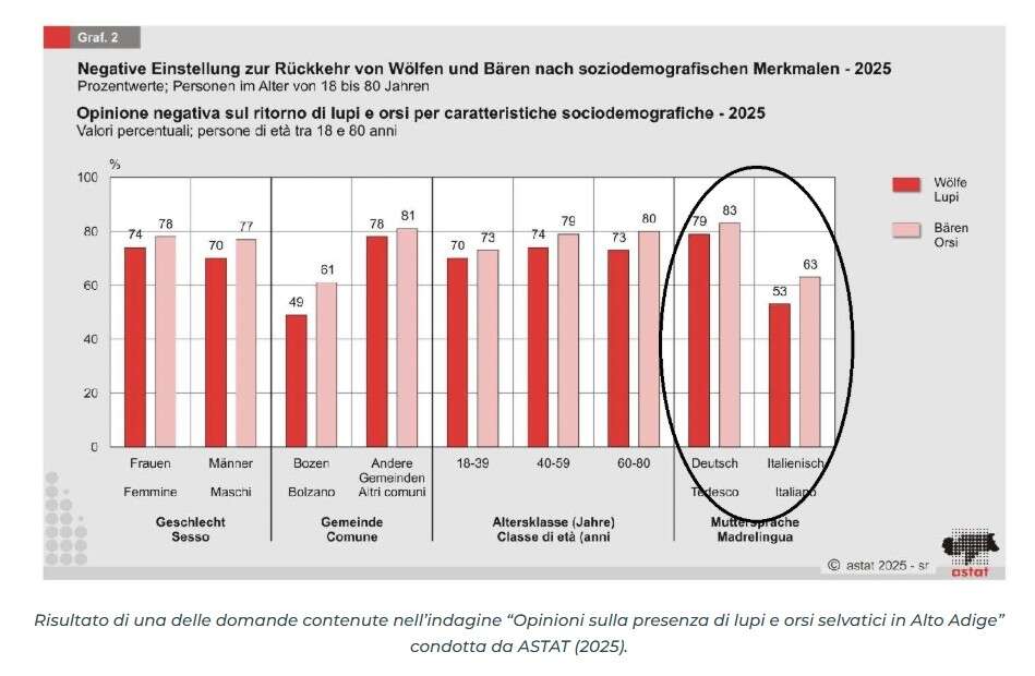 alto adige sondaggio 1