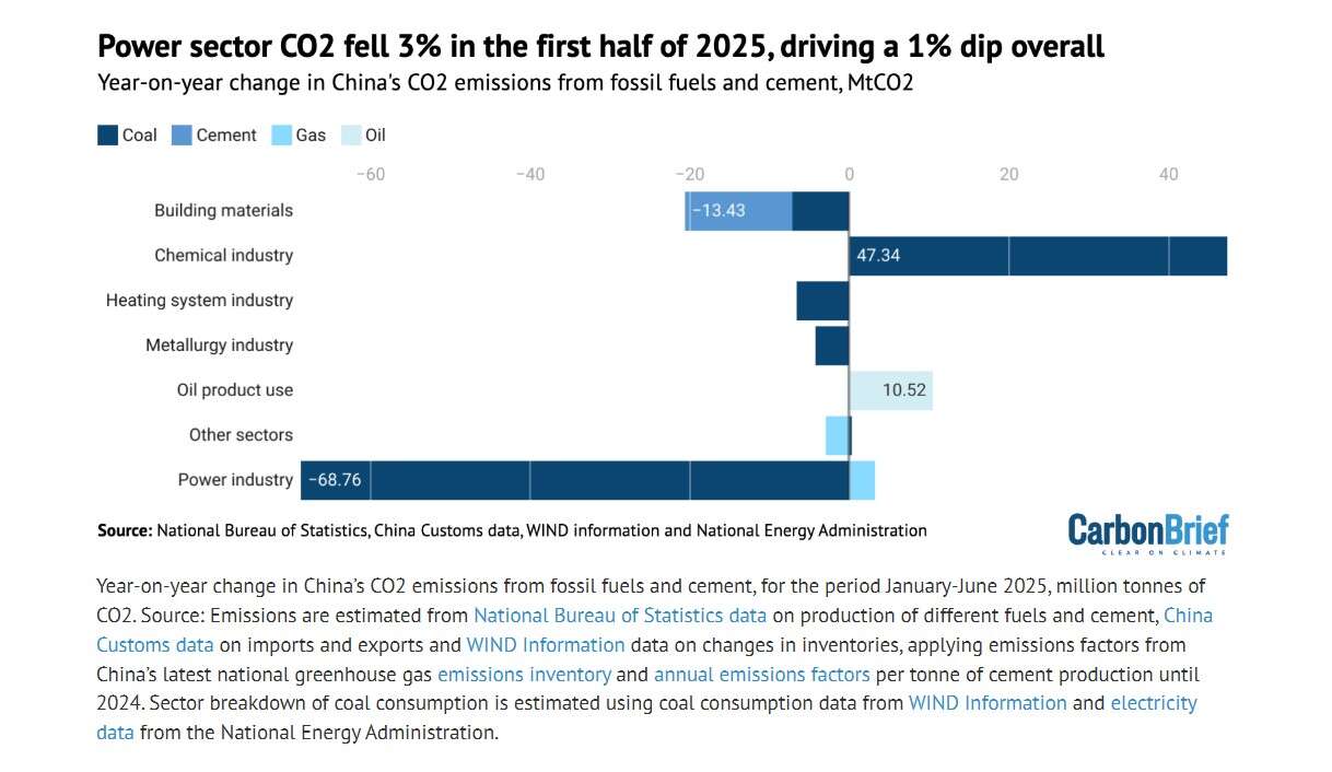 cina emissioni carbon brief 2