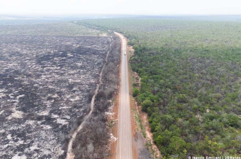 deforestazione amazzonia 3bmeteo Amazônia ETS Emanuela Evangelista