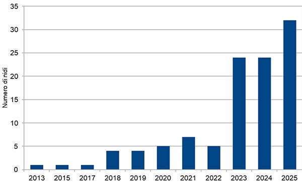 grafico arpat nidi tartaruga