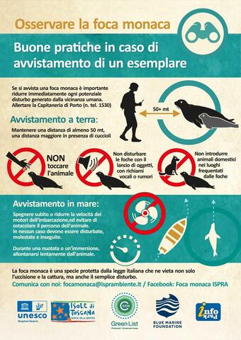 infografica foca monaca ispra