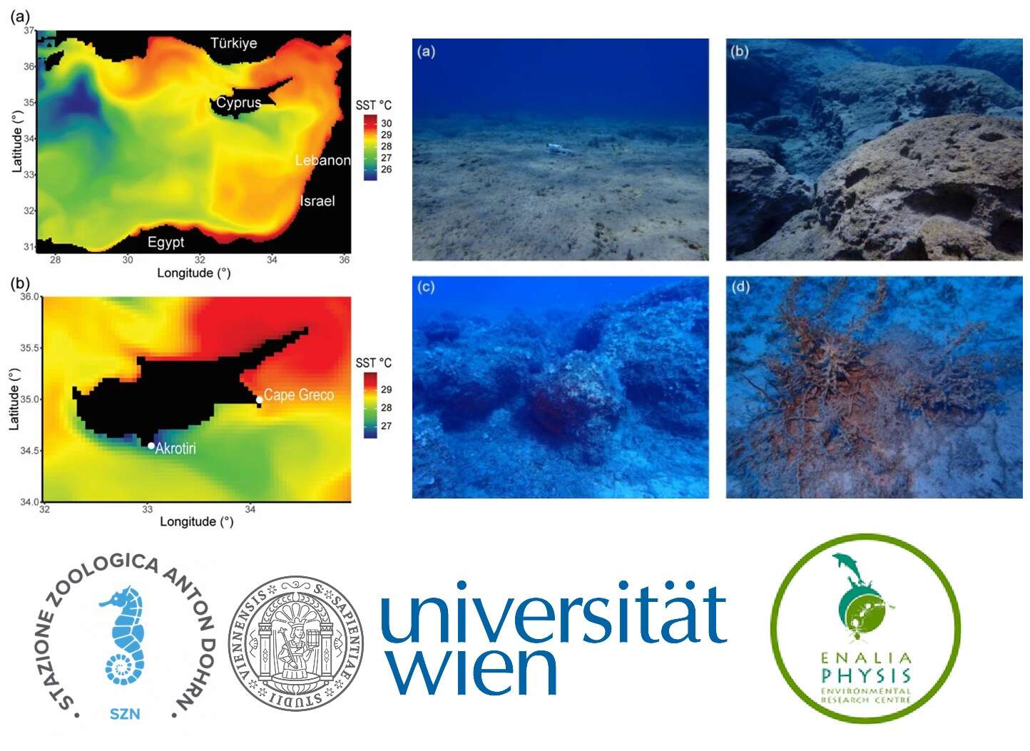 Scoperta nel Mediterraneo un’oasi climatica dove la biodiversità può resistere al riscaldamento globale
