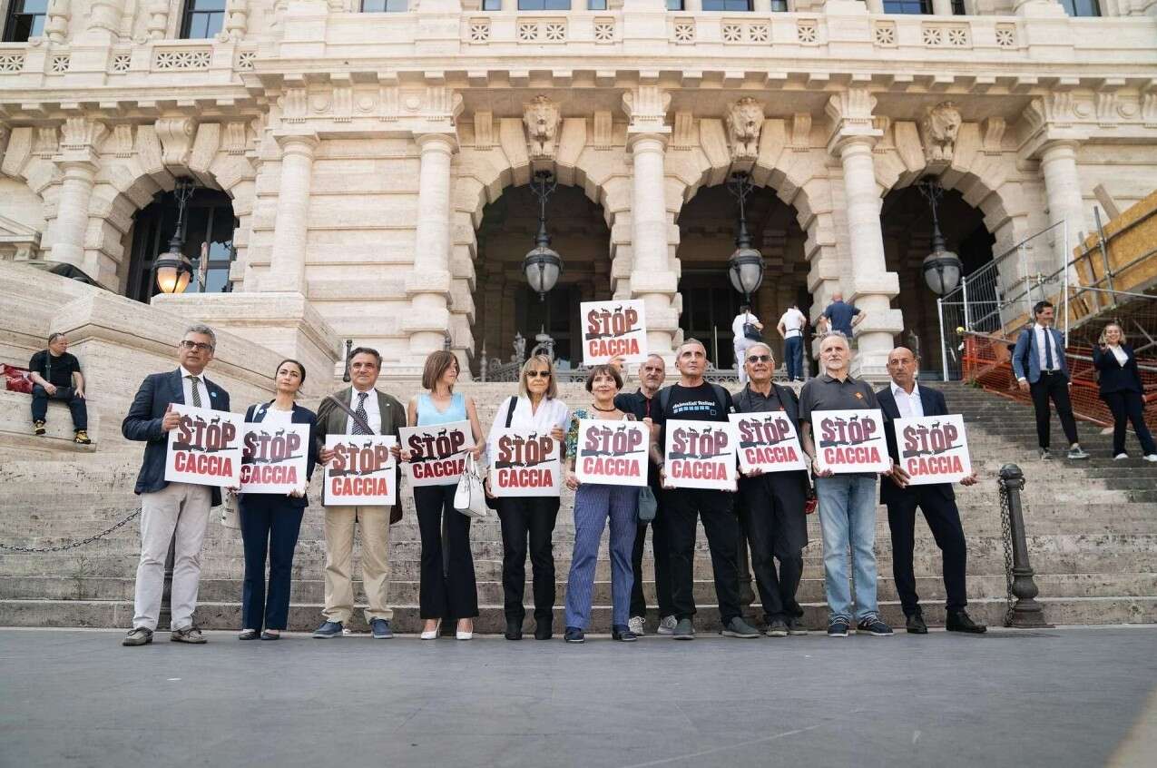 Abolizione della caccia, è online la piattaforma per la raccolta firme: ne servono 50mila
