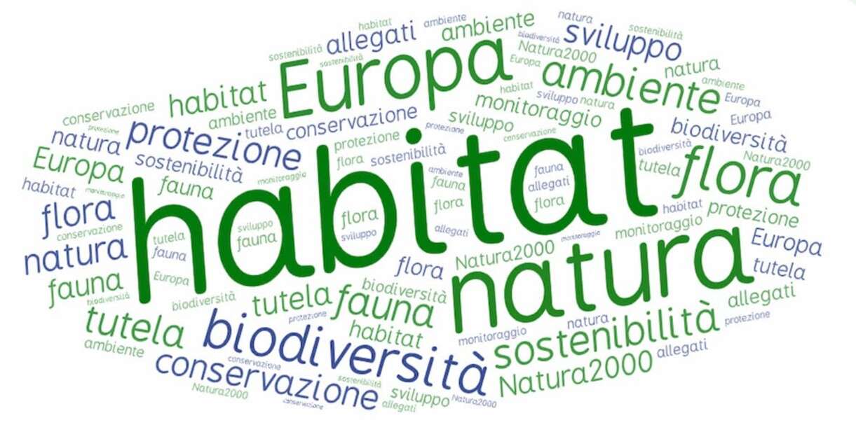 ponte stretto quindicesima puntata 6