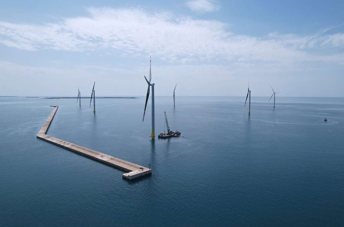 L'eolico offshore di Taranto piace (anche) ai cetacei: 641 avvistamenti tra delfini, grampi e capodogli