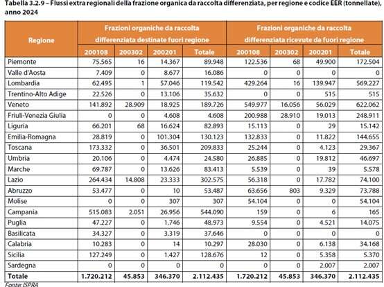 sbandati rifiuti organici 2