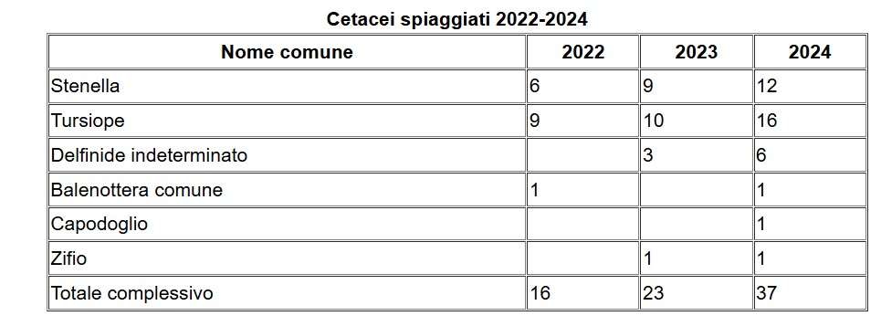 tabella cetacei spiaggiati 2024 arpat 1