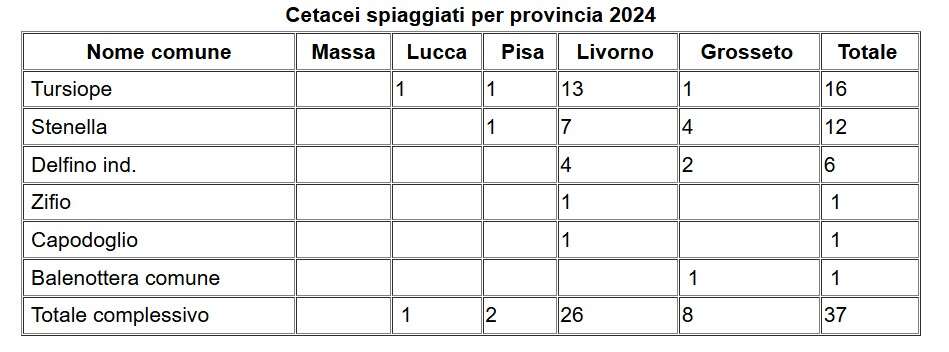 tabella cetacei spiaggiati 2024 arpat 2
