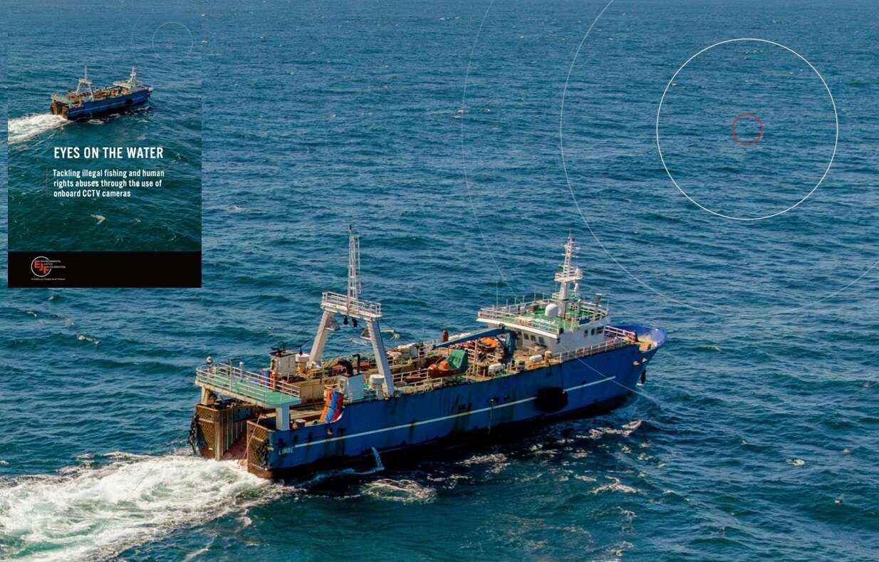 Le telecamere di videosorveglianza in mare potrebbero ridurre drasticamente la pesca illegale