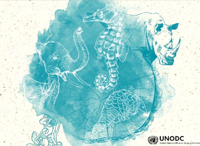 La crisi climatica sta accelerando la sesta estinzione di massa: 1 milione le specie a rischio scomparsa