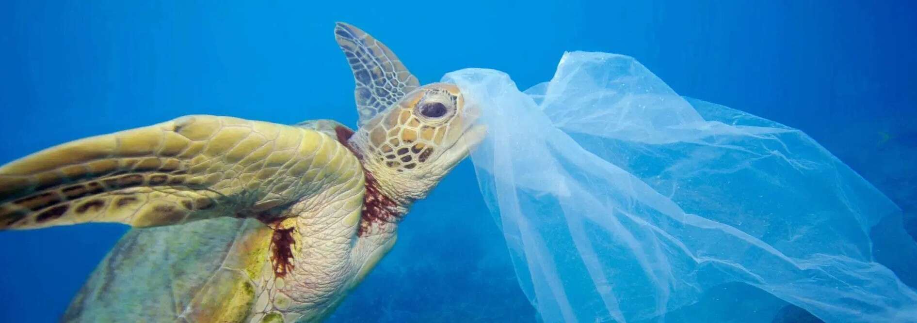 A Livorno si presenta il progetto EPIC: soluzioni concrete per un mare senza plastica