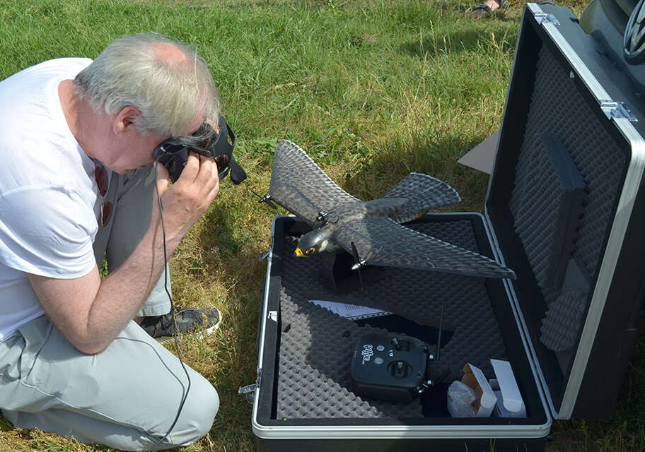 L’Università di Pisa svela il segreto del volo degli stormi