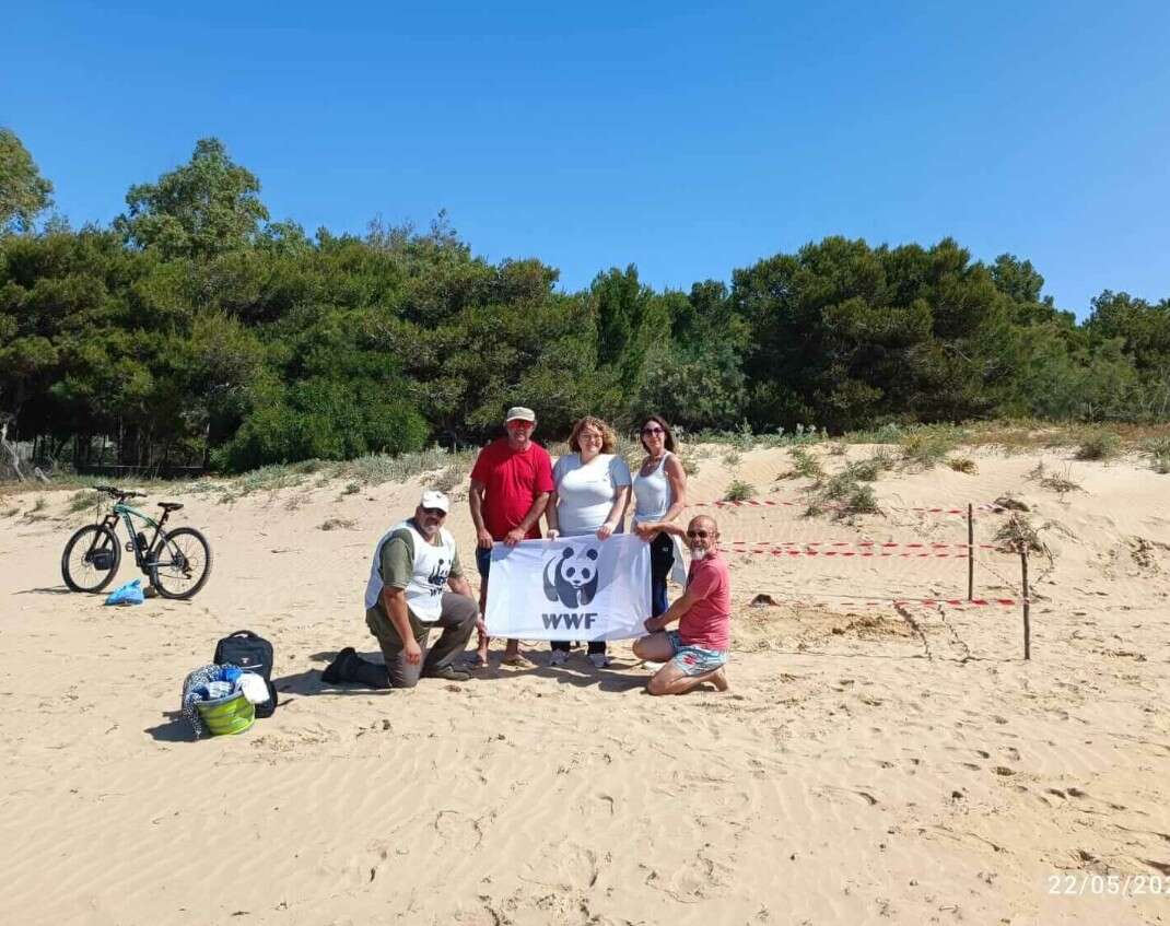 È in Sicilia il primo nido italiano di tartaruga marina del 2025: deposte le uova a Sampieri, nel Ragusano