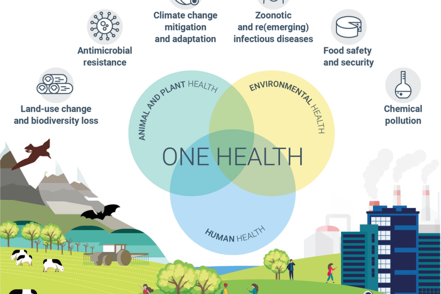 Ecco come la crisi climatica aumenta la trasmissione delle malattie infettive