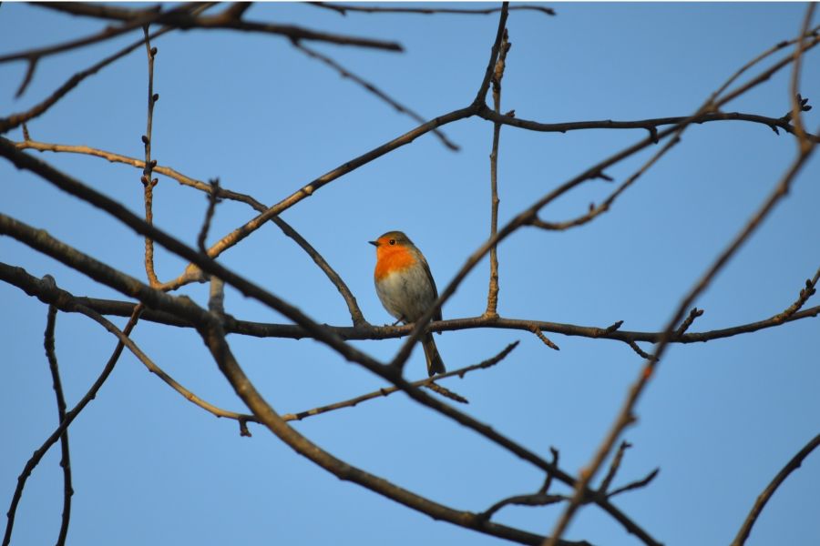 L’ultimo giorno di lavoro a Greenreport.it