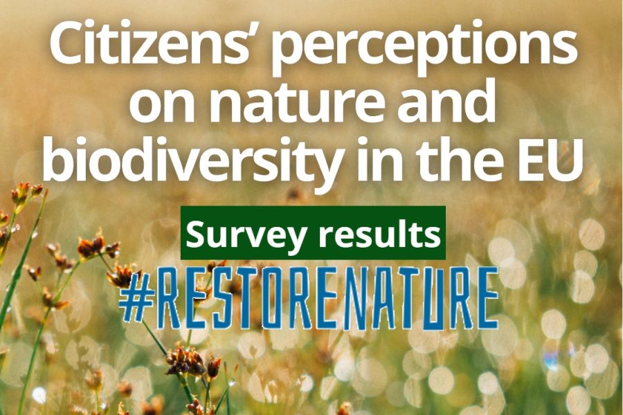 L’85% degli italiani chiede al governo di votare a favore della nature restoration law