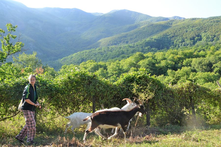 Le ragazze del Gran Sasso: da due giovani allevatrici abruzzesi una lezione per il futuro della montagna