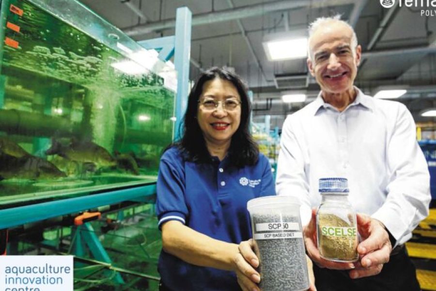 Un nuovo cibo per l’acquacoltura: proteine microbiche delle acque reflue della lavorazione della soia