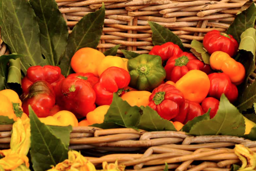 Nell’Ue in un anno oltre 130 Kg di rifiuti alimentari a testa, perdite complessive per 132 miliardi