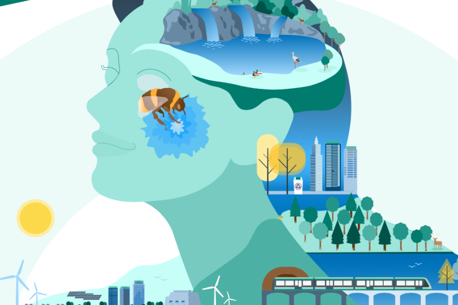 Clima, perdita di biodiversità, risorse idriche sotto pressione: lo stato dell’ambiente in Europa è preoccupante