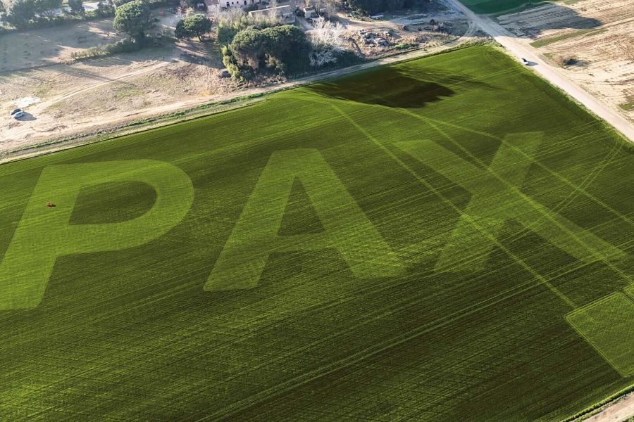 La pace è verde, e all’Università di Pisa si vede dal cielo