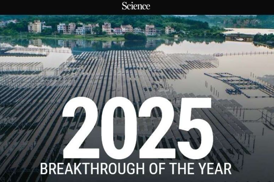 La crescita inarrestabile delle energie rinnovabili è la "svolta scientifica" dell'anno