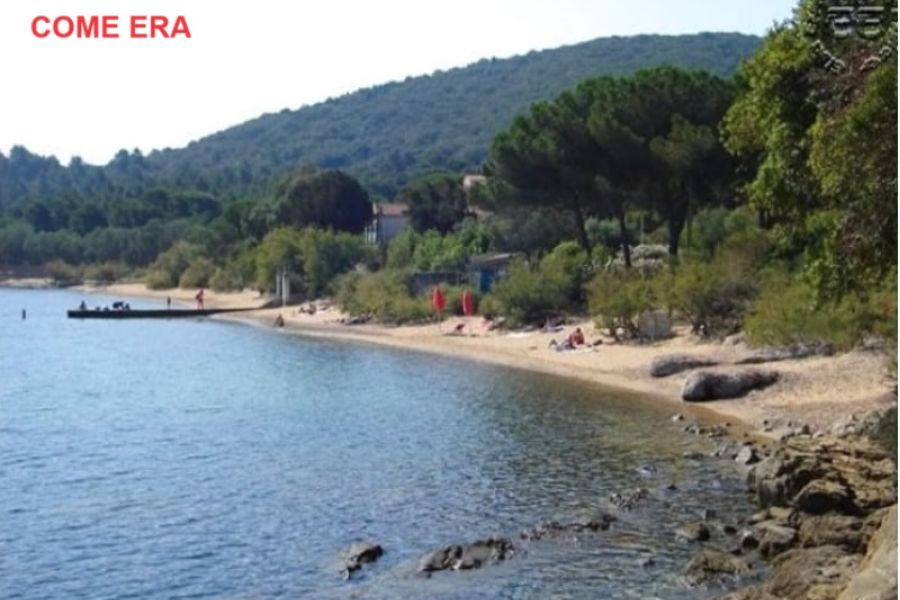 Taglio delle tamerici sulla spiaggia di Galenzana: i carabinieri denunciano una persona