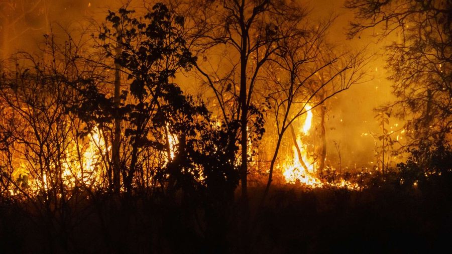 Incendi boschivi e suolo