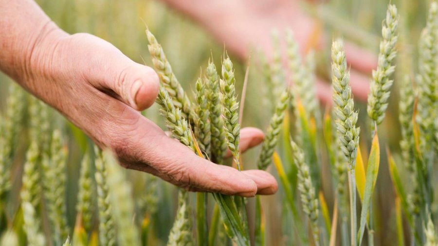 Agroalimentare in trasformazione