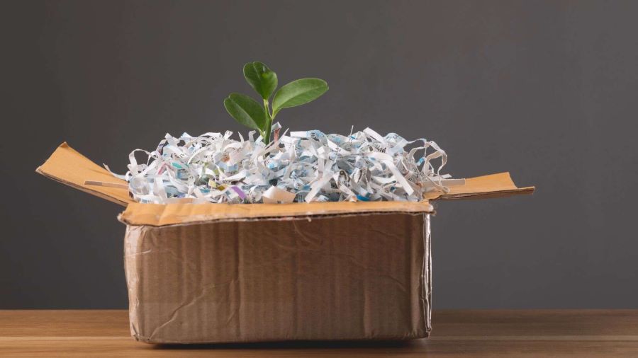 Raccolta di carta e cartone in crescita